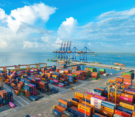 Logistics ngược